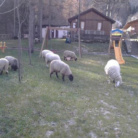 B&B La Miando Salza di Pinerolo Luaran gambar